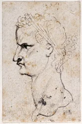 Gaius Caligula, from Ten Drawings of Eight of the First Twelve Caesars, after Giovanni da Cavino