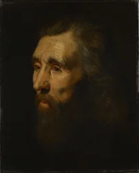 Head of a Bearded Man