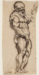 Hercules