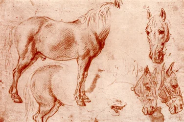 Studies of Horses