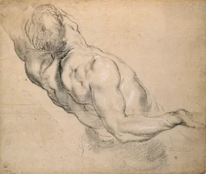 Study of a Nude Male Torso
