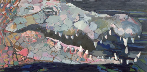 Further Down the River - The Crocodile