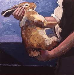 Rabbits Soon Become Tame if Handled Correctly