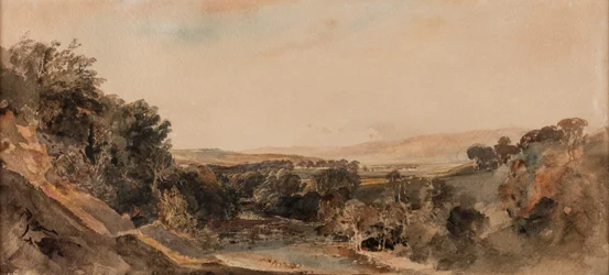 Cannock Chase