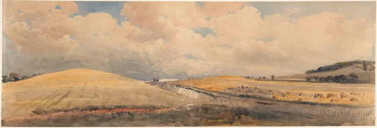 Cornfields near Tring Station, Hertfordshire
