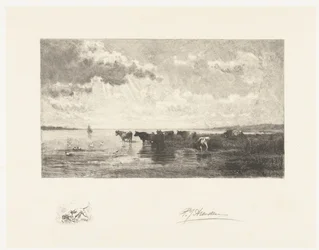 Cattle by a Pond