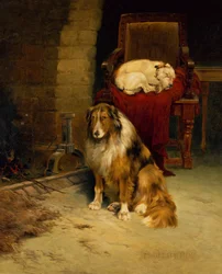 Fireside Companions