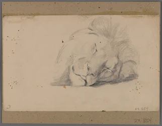 Head of a Sleeping Lion