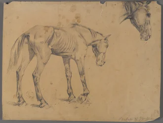Horse and Horse