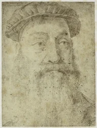 Study for the Portrait of Stefano Collona