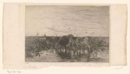 Cows by Water in a Meadow