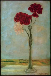 Carnations