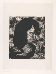 Black Cat Looking over Its Shoulder