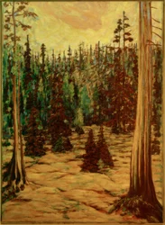 Summer Forest