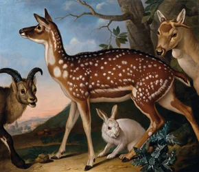 Fallow Deer, Ibex and Hare