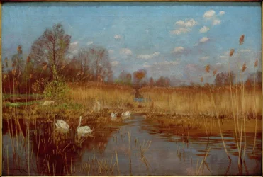 Spring