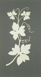Hop plant