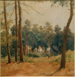 Forest Landscape near Hartmannshofen