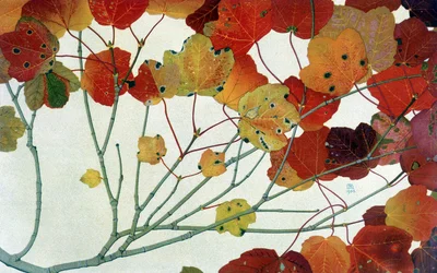 Autumn Leaves, by Philippe Robert, editions Robert Ried