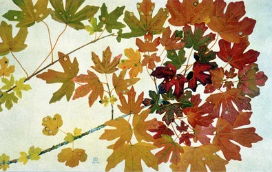 Feuilles d