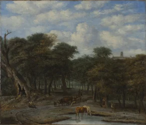 Forest Clearing with Cattle