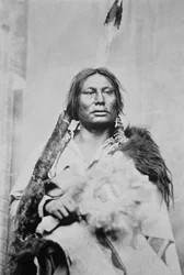 Chief Gall (c.1840-94)