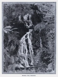 Mathinna Falls, Healesville