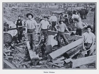 Timber Workers