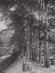 Im Tiergarten, Ein schattiger Weg