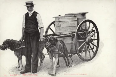 Milkman, Lucerne, Switzerland