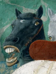 The Legend of the True Cross, the Reception of the Queen of Sheba by King Solomon, detail of a horse, completed 1464