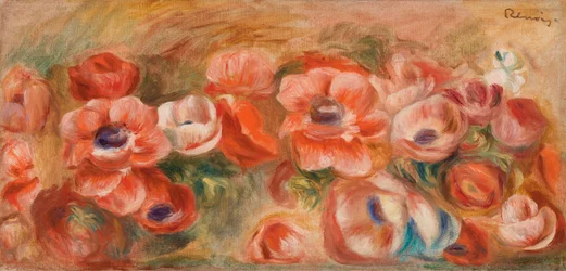 Anemones