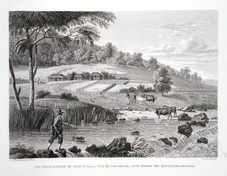 New South Wales, New Holland: View of the Cox River in the west of the Blue Mountains, from 