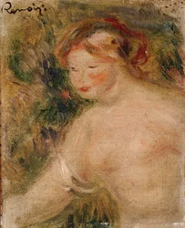 A Female Torso