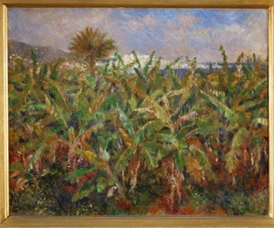 Banana Fields