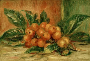 Medlar