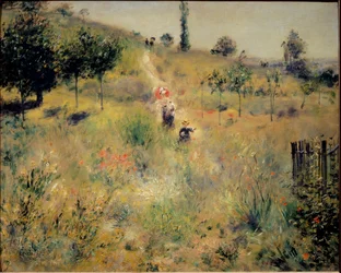 Path Rising in the High Herbs