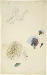 Studies of Trees and Foliage