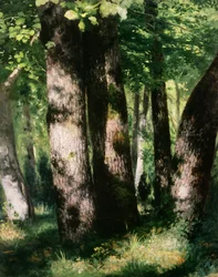 Unknown Image