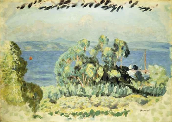 The Eucalyptus
