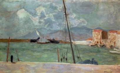 Port of Cannes