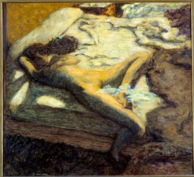 The indolent naked young woman lying on a bed