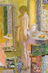 Nude Before a Mirror