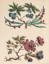 Two Sprays of Imaginary Flowers
