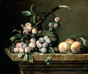 Plums, Melon and Peaches