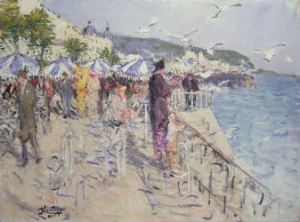 The Seagulls