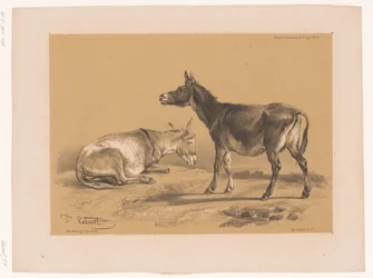 Study of Two Donkeys (Animal Studies by Cooper)