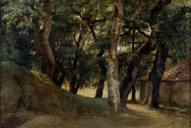 Forest of the Villa Borghese