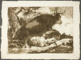 A Bull and Two Sheep