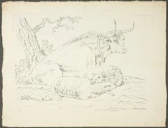 A Bull and Two Sheep